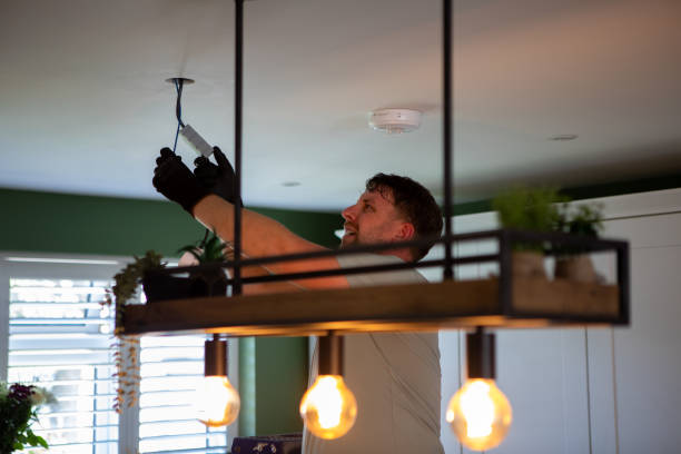 Best Electric Panel Repair  in Brockport, NY